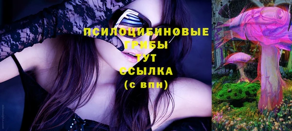 молекула духа Баксан