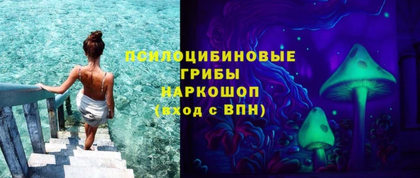 винт Арсеньев