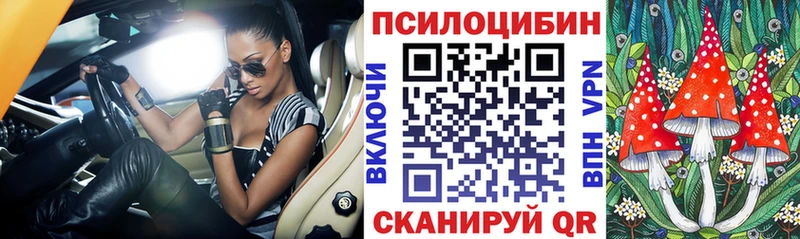 закладки  Порхов  Галлюциногенные грибы мицелий 